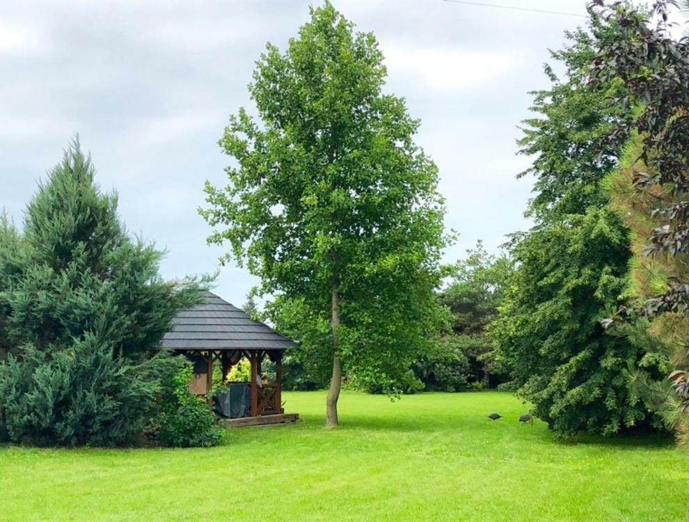Apartmanove Ubytovanie Pod Dubom Polny Kesov 외부 사진